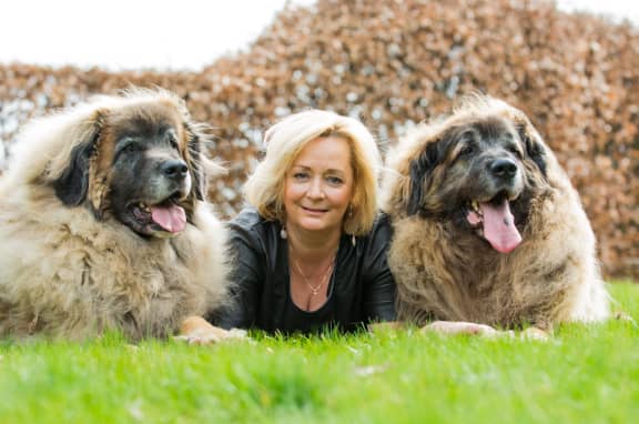 Voorbeeldfoto van Huisdierfotografie