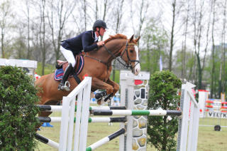 Voorbeeldfoto van Paardensport Portfolio