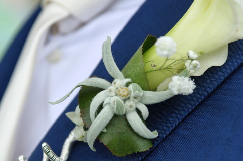 Portfolio Corsage