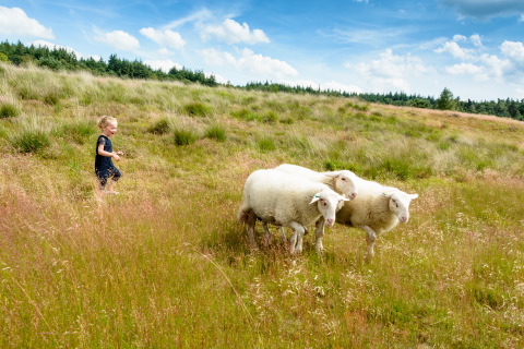 Portfolio Gezinsfotografie