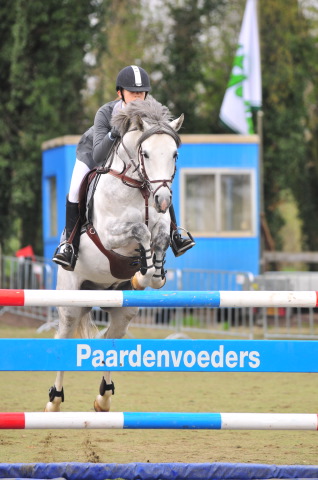 Portfolio Paarden(sport)